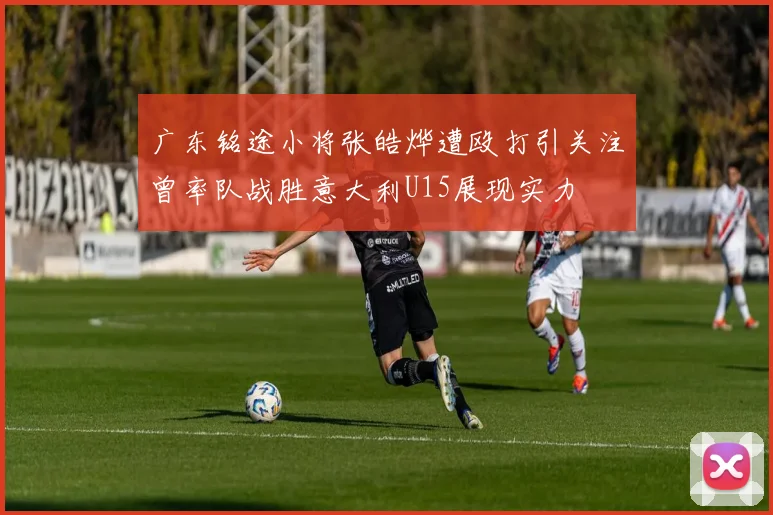 广东铭途小将张皓烨遭殴打引关注曾率队战胜意大利U15展现实力