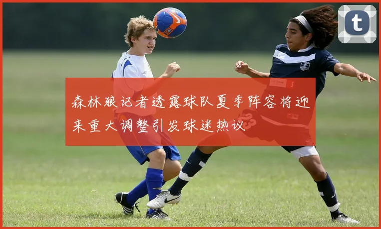 森林狼记者透露球队夏季阵容将迎来重大调整引发球迷热议